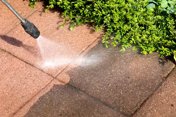 Best House Pressure Washing  in Albany, KY